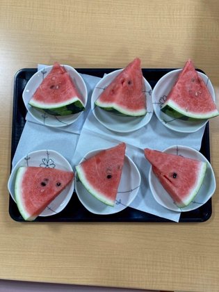 有料老人ホーム ココロステッキ