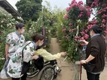 二宮家のバラ園に行ってきました。