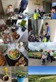 夏の思い出