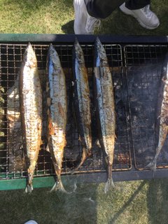 さんま焼き大会