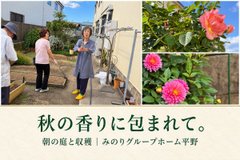 バラの香りと秋の花。朝の庭でアスパラガスを収穫