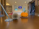 今年は秋が秋らしく🍄🎃🍁