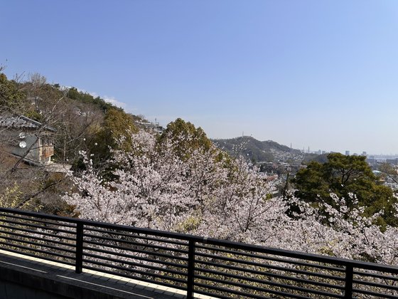 鹿松すみれビレッジ