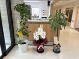 お祝いのお花