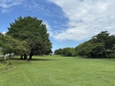 湖北台中央公園