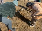 有料老人ホームみじょう