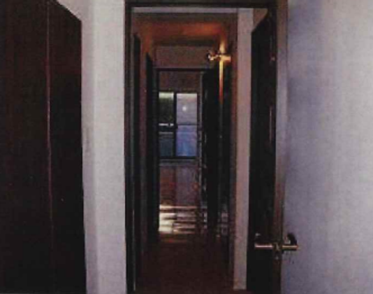 はなみずき