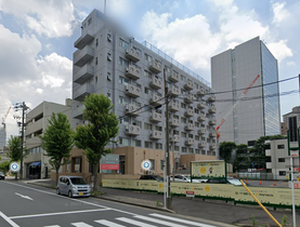 めぐらす葵