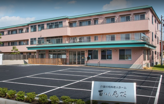 百ねん庵桜