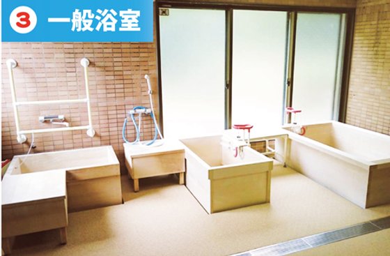 向日葵のひざし岡崎