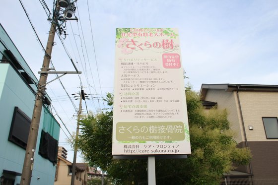 さくらの樹