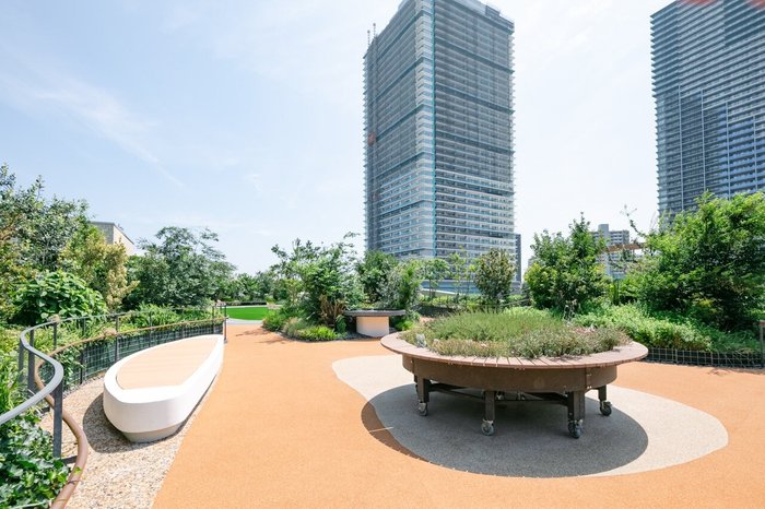 屋上庭園
