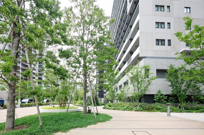 レジデンス前の遊歩道