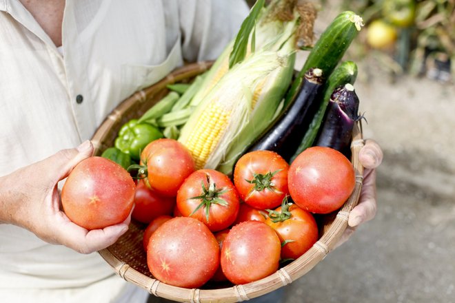 介護食にしやすい食材の選び方