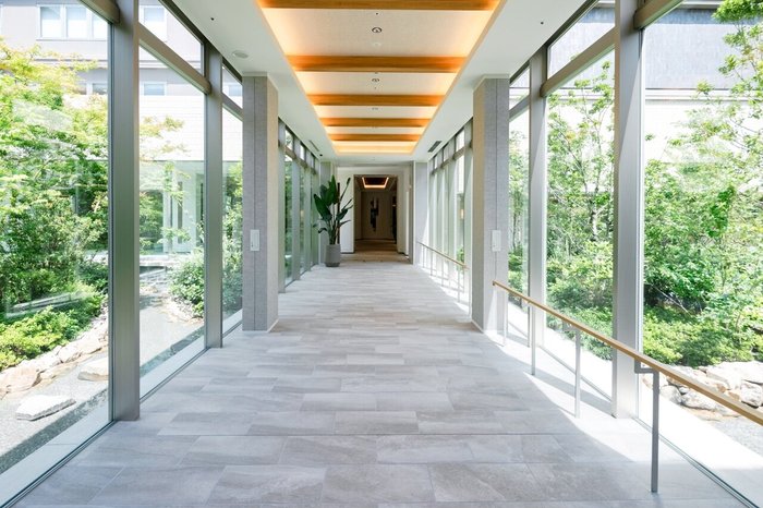 渡り廊下から見える中庭