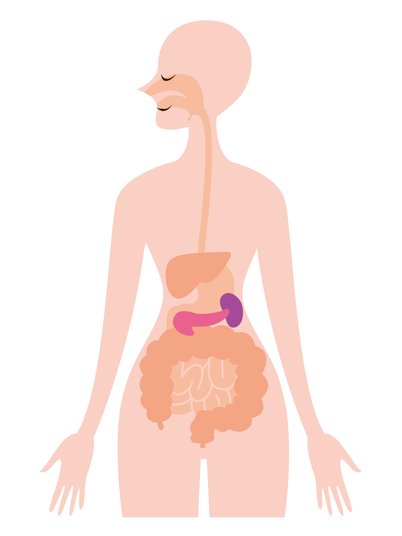 親が膵がんになったら 専門医が自分の親のために選ぶとしたらこの治療 Tayorini By Lifull介護